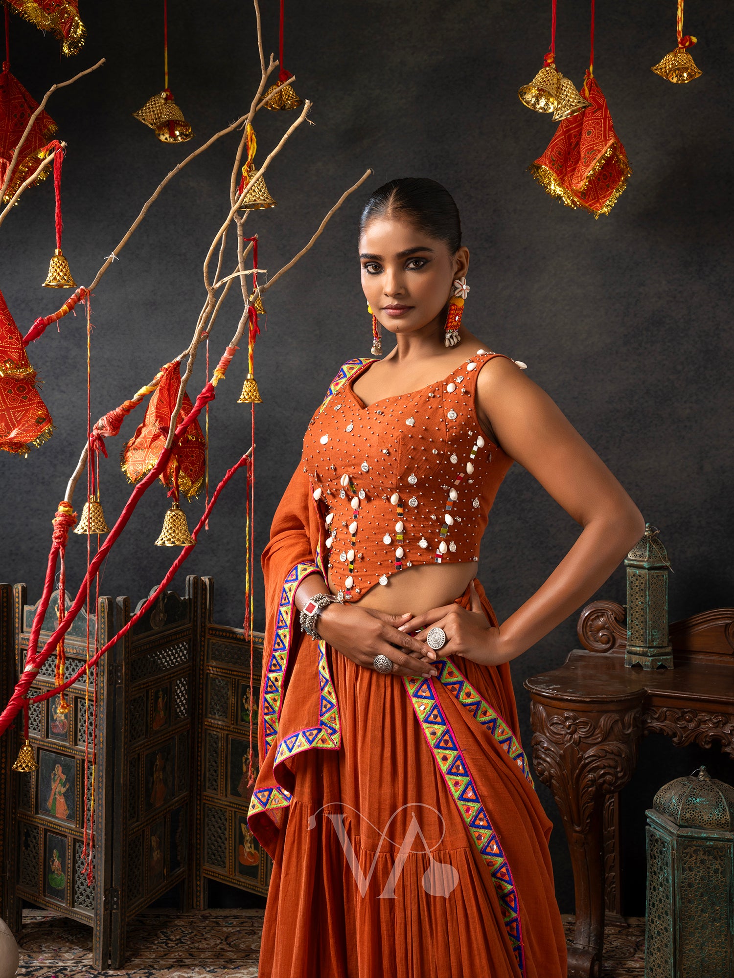 Brown Chaniya Choli